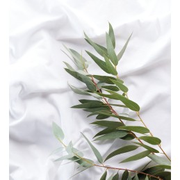 PROTECTOR DOBLE TENCEL -50%